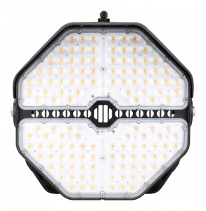 LED Sports Light – MSL02