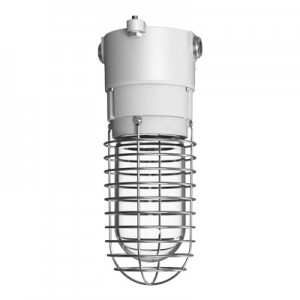 Hazardous Location Jelly Luminaire-HJ01