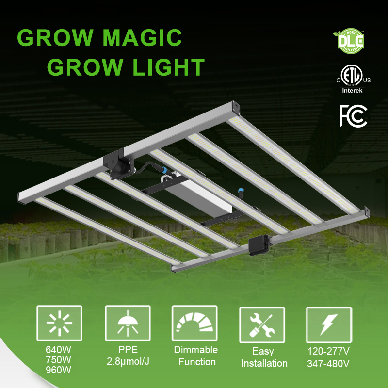 Revolutionizing Indoor Growing with Advanced LED Grow Lights